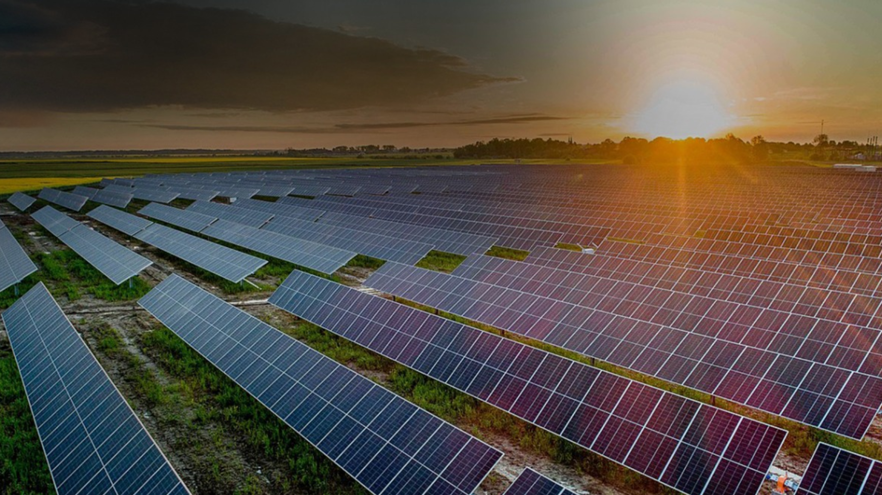 We brighten your day